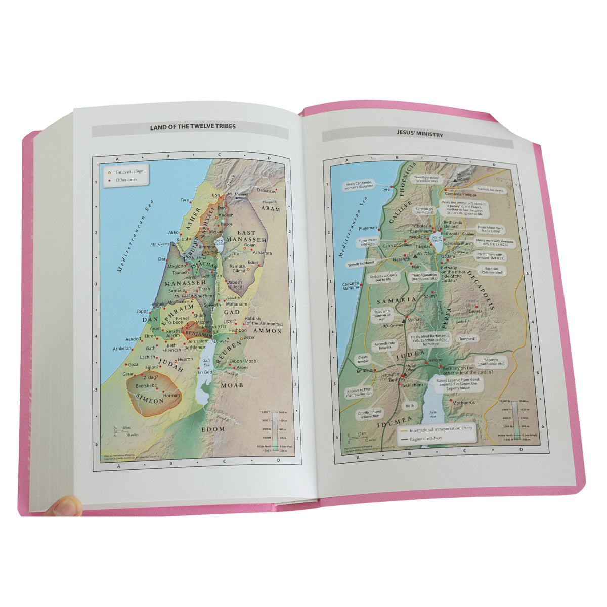 NIV Pink Paperback Gift & Award Bible Red Letter Edition Comfort Print