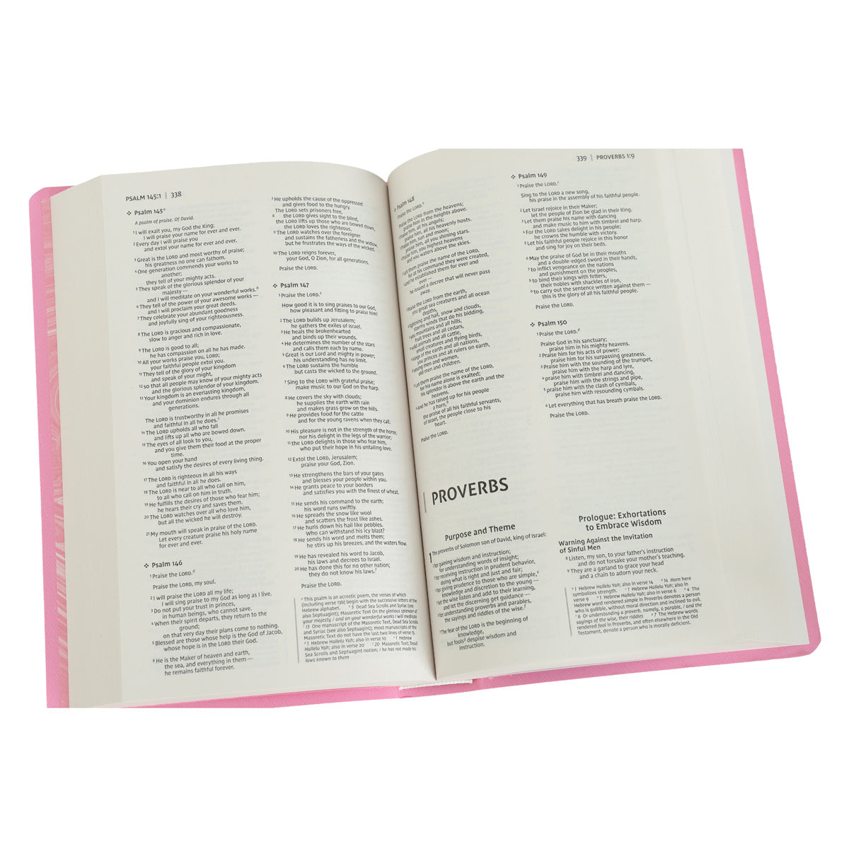 NIV Pink Paperback Gift & Award Bible Red Letter Edition Comfort Print
