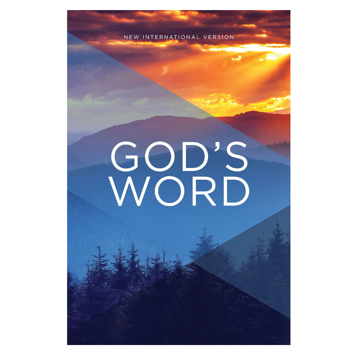 NIV God's Word Outreach Bible (Paperback)