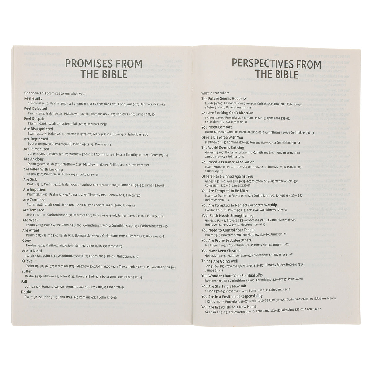 NIV Holy Bible For Kids Economy Edition (Comfort Print)(Paperback)