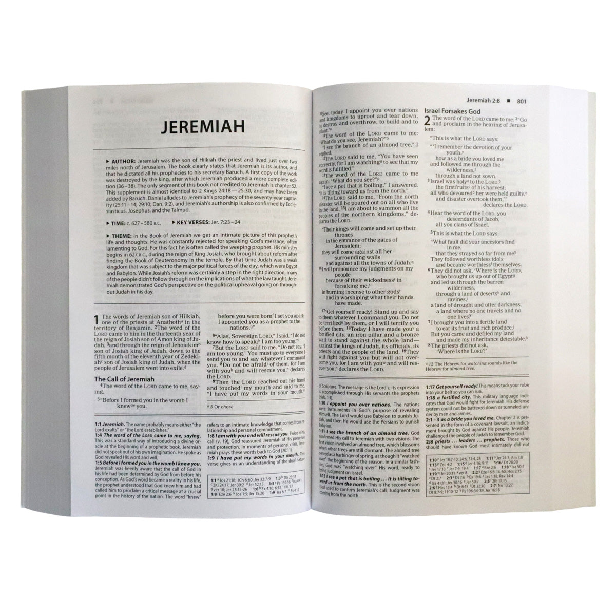 NIV Basic Study Bible, Economy, Blue, Red Letter (Paperback)