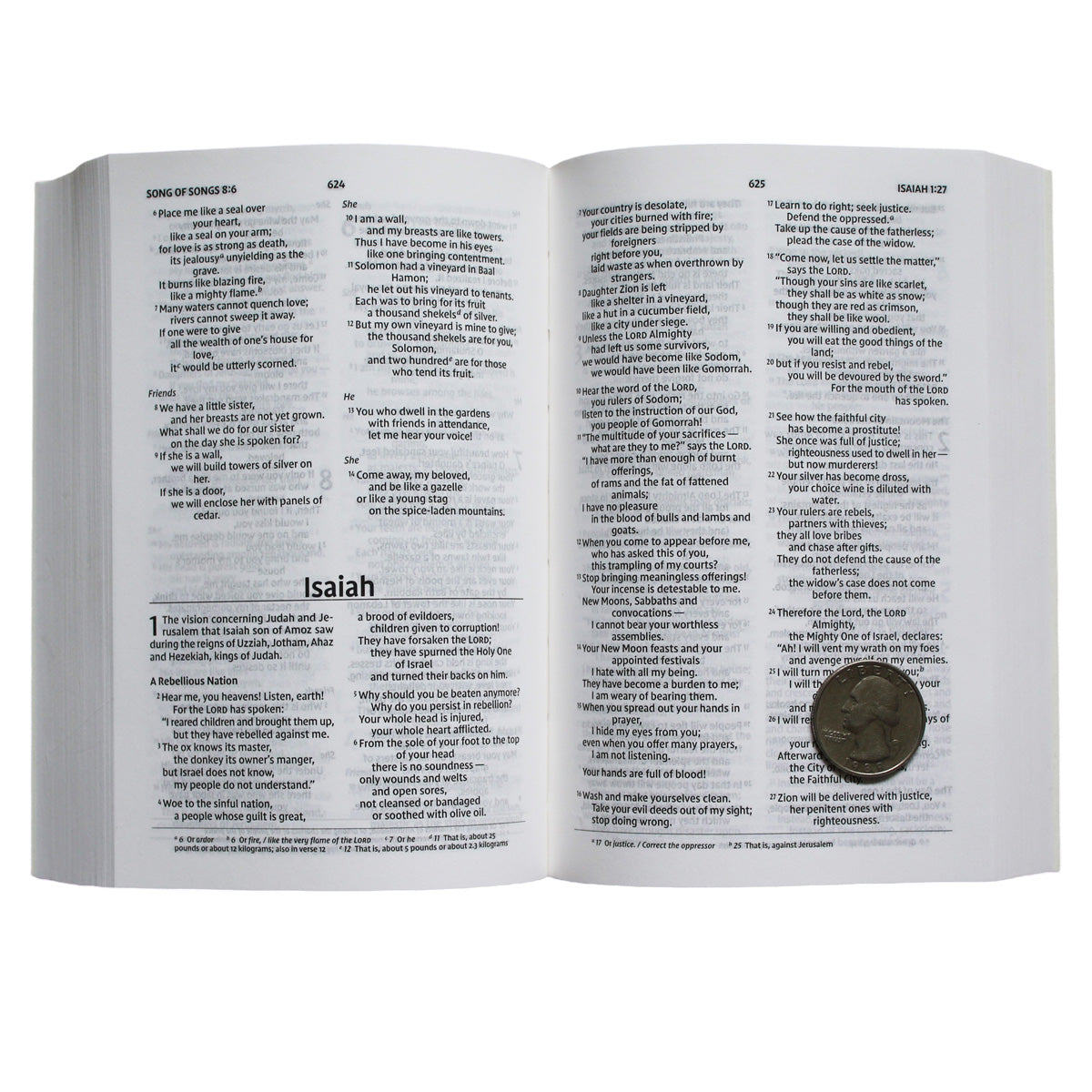 NIV Holy Bible Compact Comfort Print (Paperback)