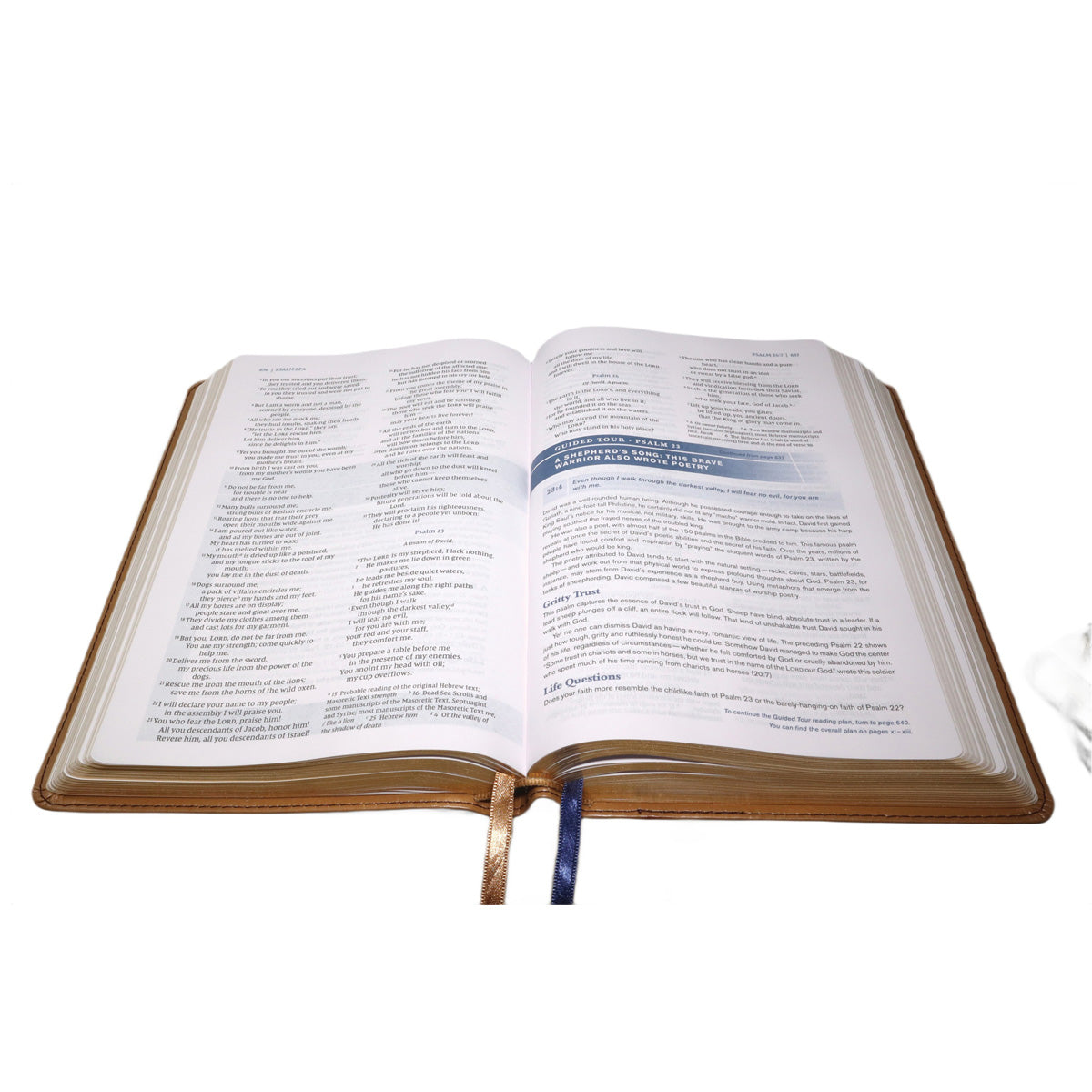 NIV Tan Imitation Leather Personal Size Student Bible Comfort Print