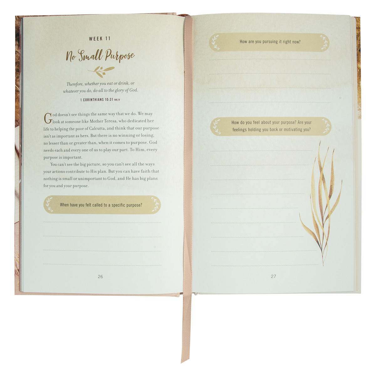 The Weekly Purpose Project: A Challenge To Journal (Hardcover)