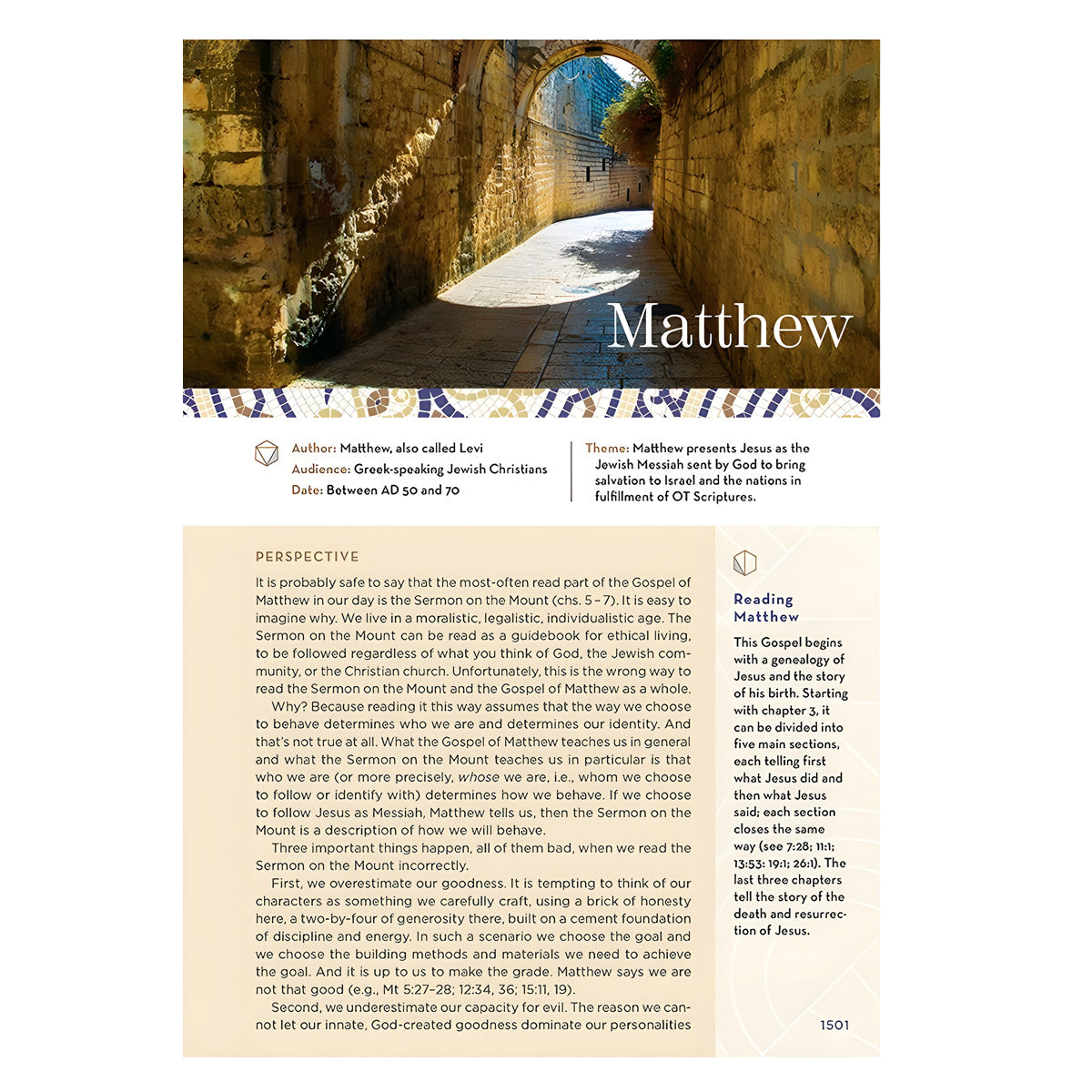 NIV Brown Imitation Leather Application Bible Comfort Print