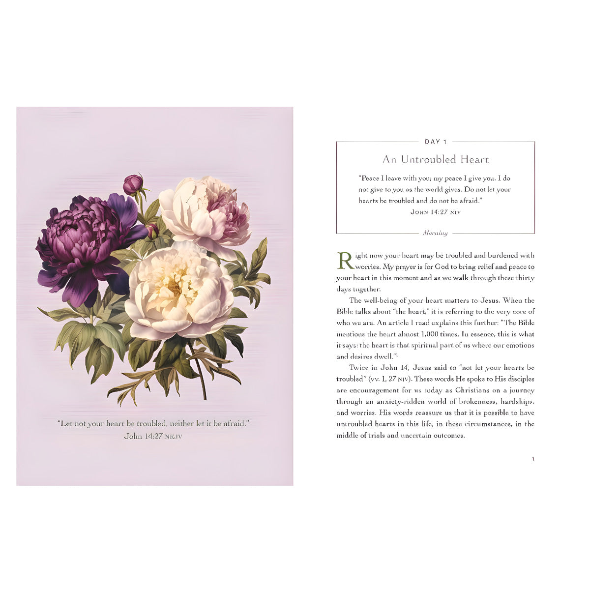 An Untroubled Heart: Calming Anxiety and Finding God's Peace a 30-Day Devotional (Hardcover)