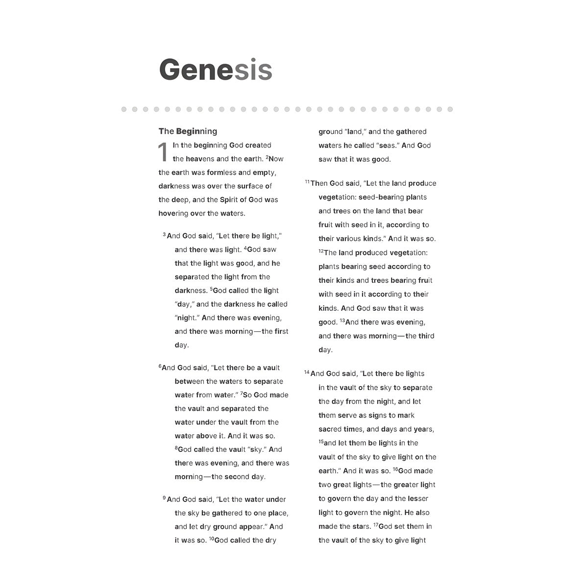 NIV Charcoal and Copper Hardcover Clear Focus Bionic Reading Bible