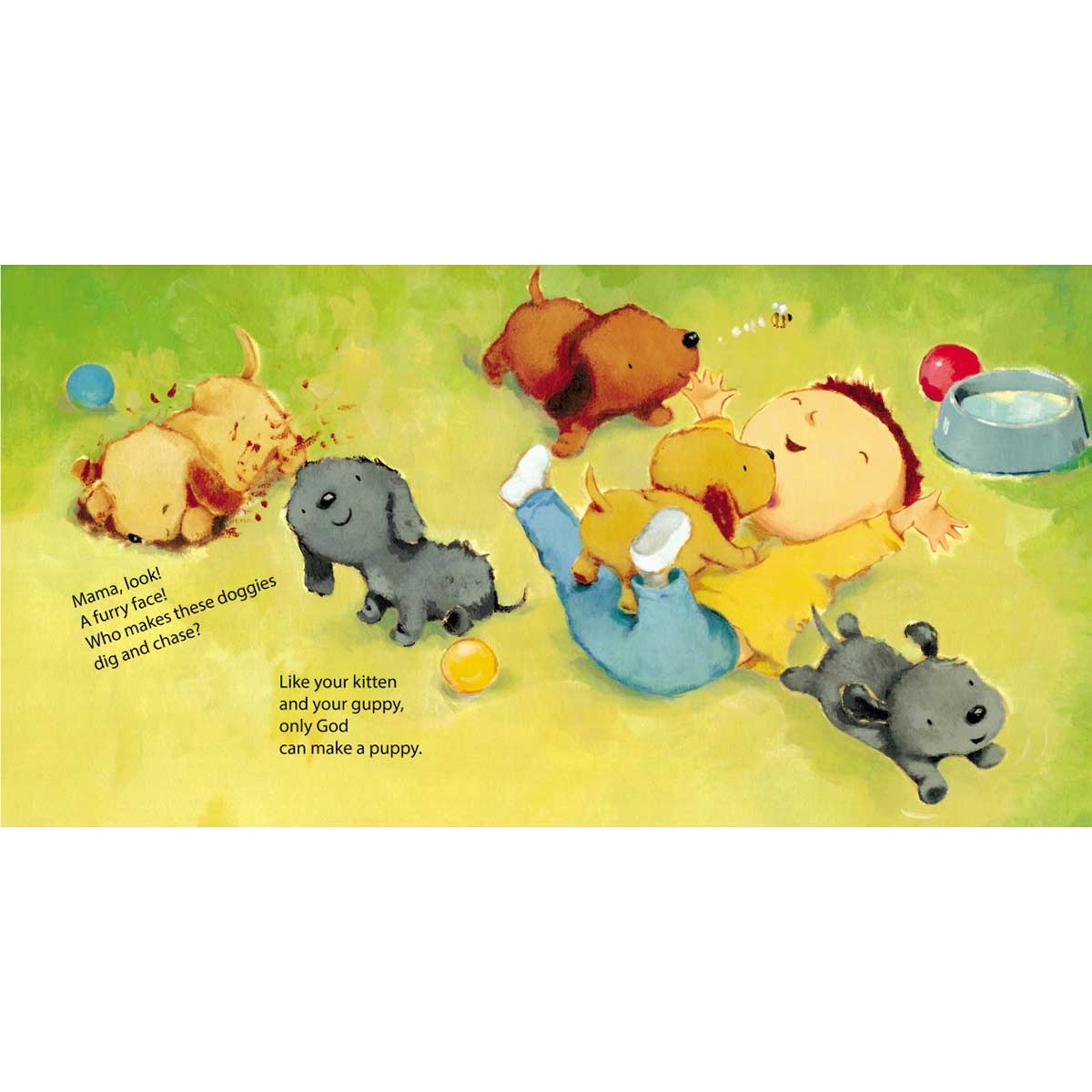 Baa! Oink! Moo! God Made The Animals (Board Book)