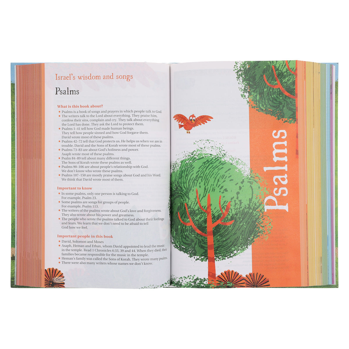 NIRV Hardcover Seek and Explore Holy Bible