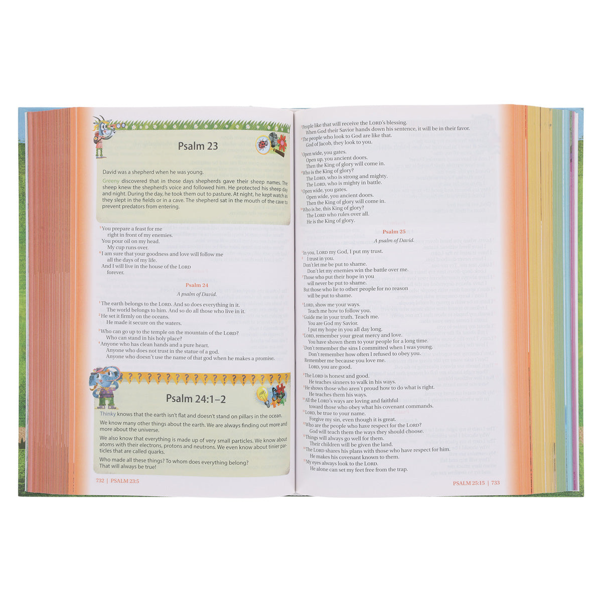 NIRV Hardcover Seek and Explore Holy Bible