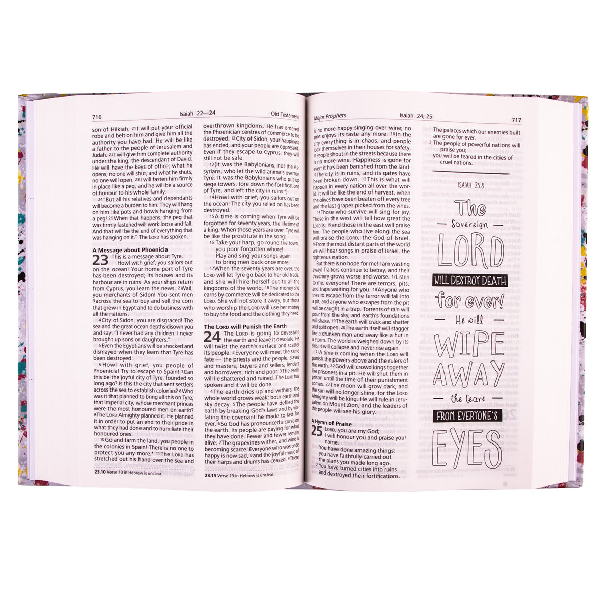 GNT Full Color Hardcover Interactive Youth Edition Bible