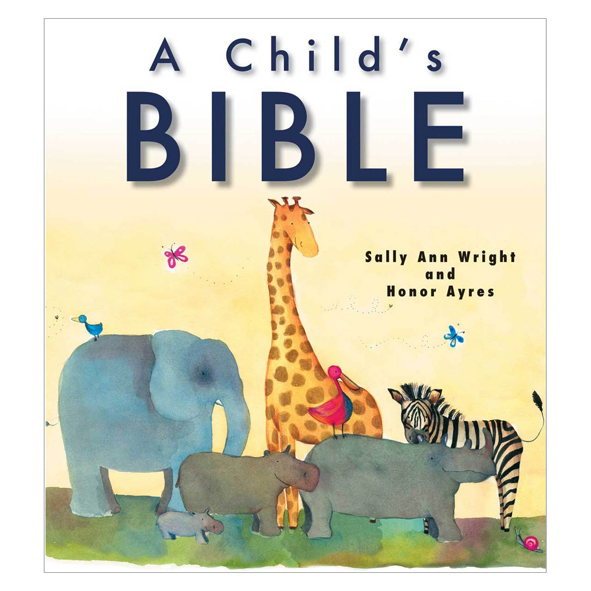 A Child's Bible (Paperback)