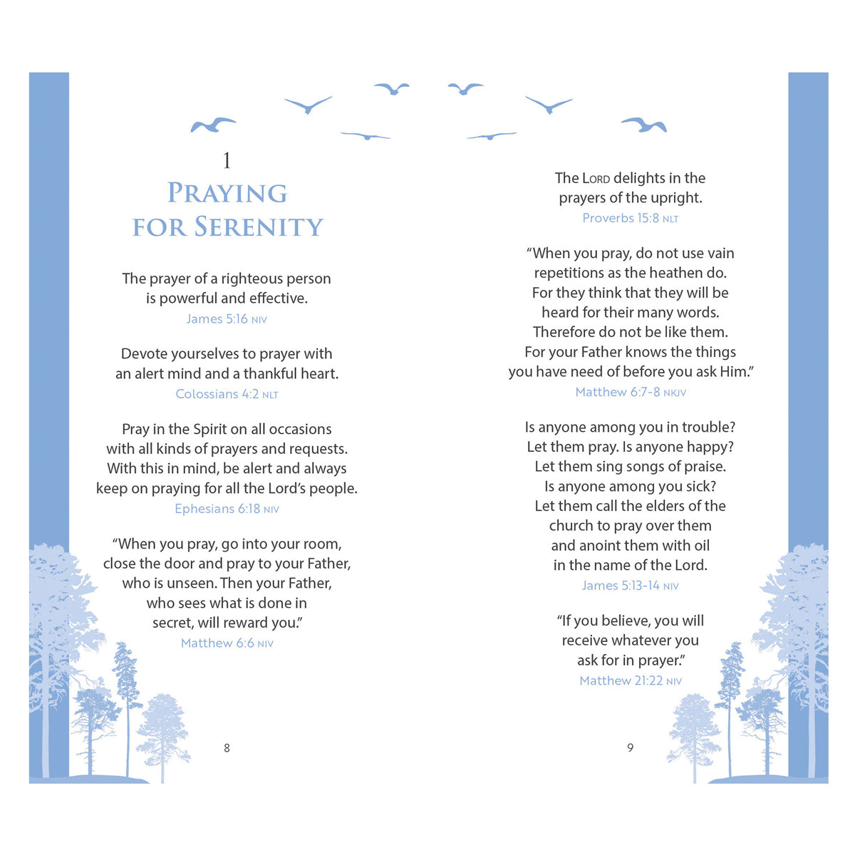 The Serenity Prayer Promise Book (Paperback)