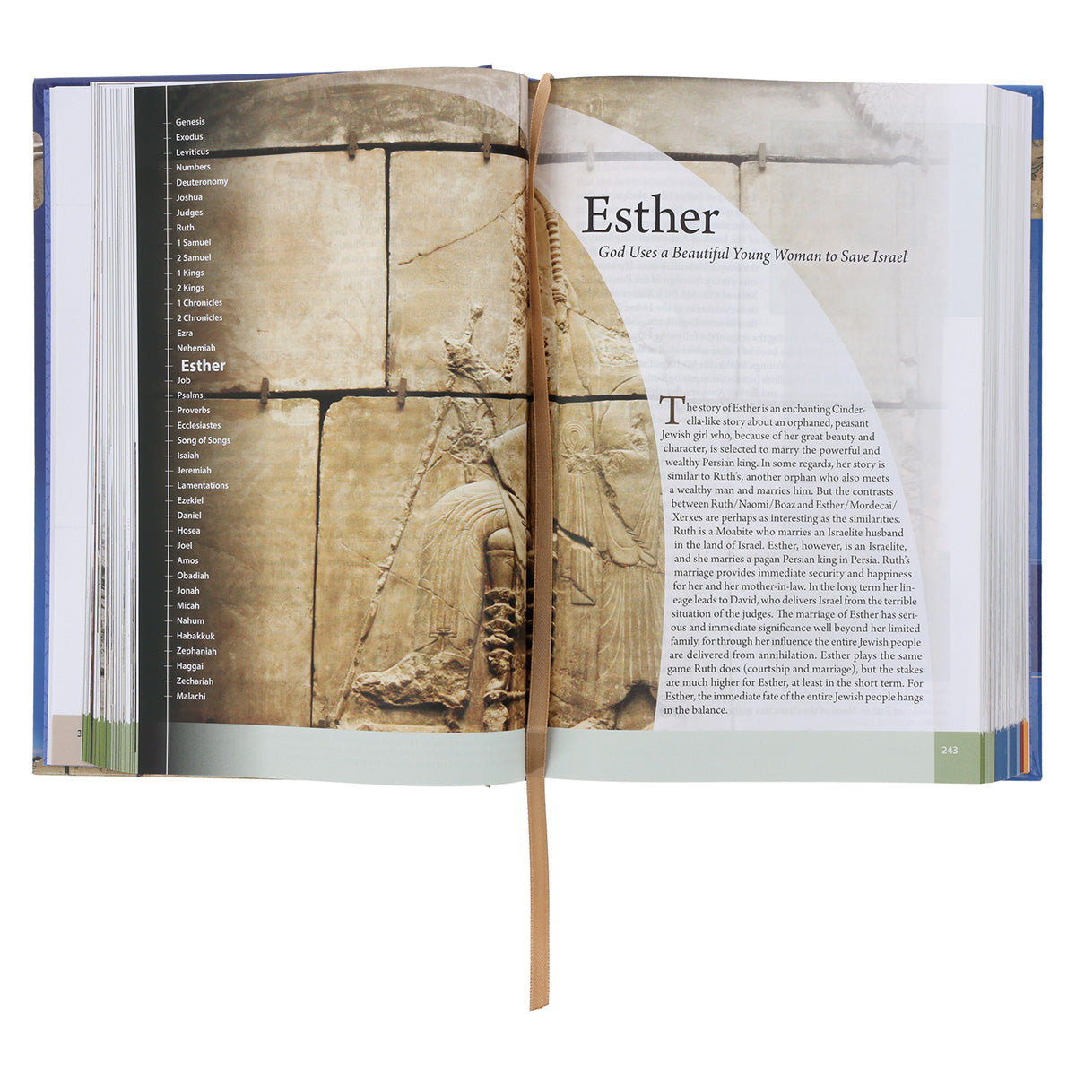 The Baker Illustrated Bible Handbook (Hardcover)