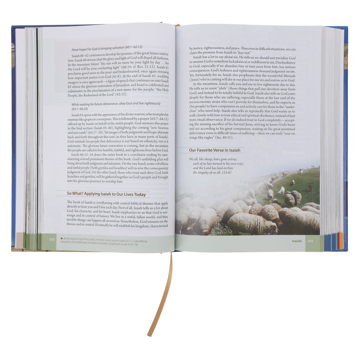 The Baker Illustrated Bible Handbook (Hardcover)