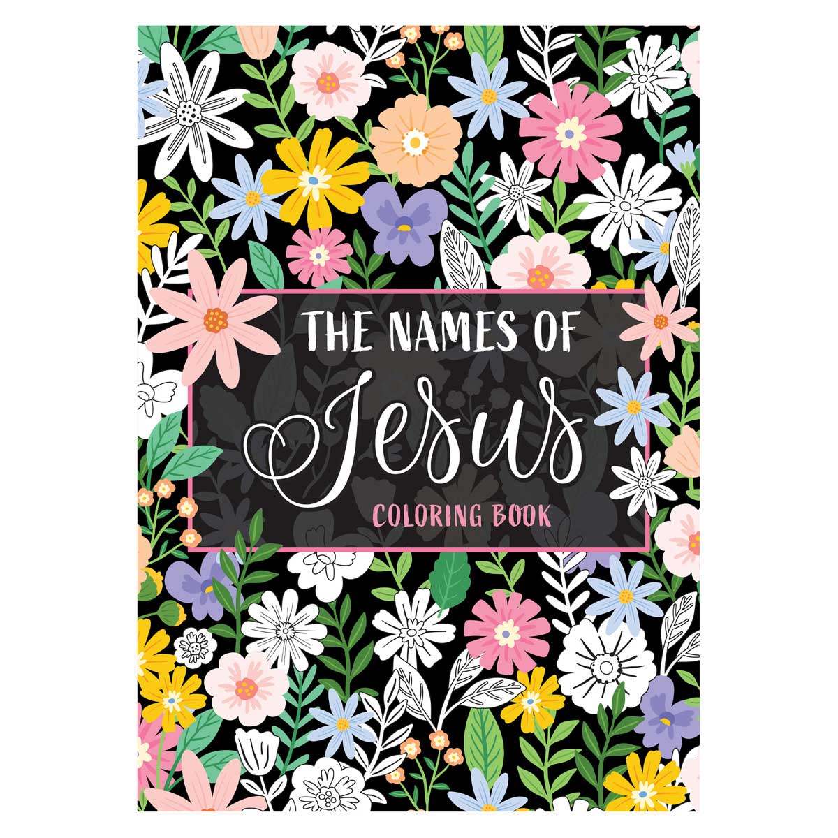 The Names of Jesus Coloring Book (Paperback)