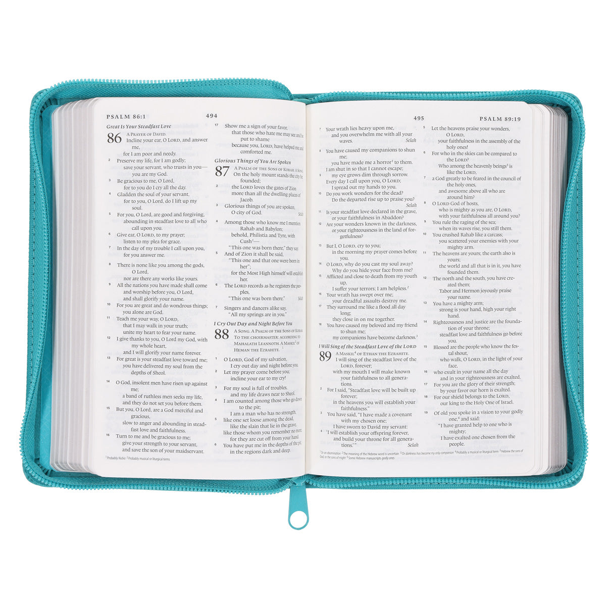 ESV Teal Faux Leather Compact Bible with Zip