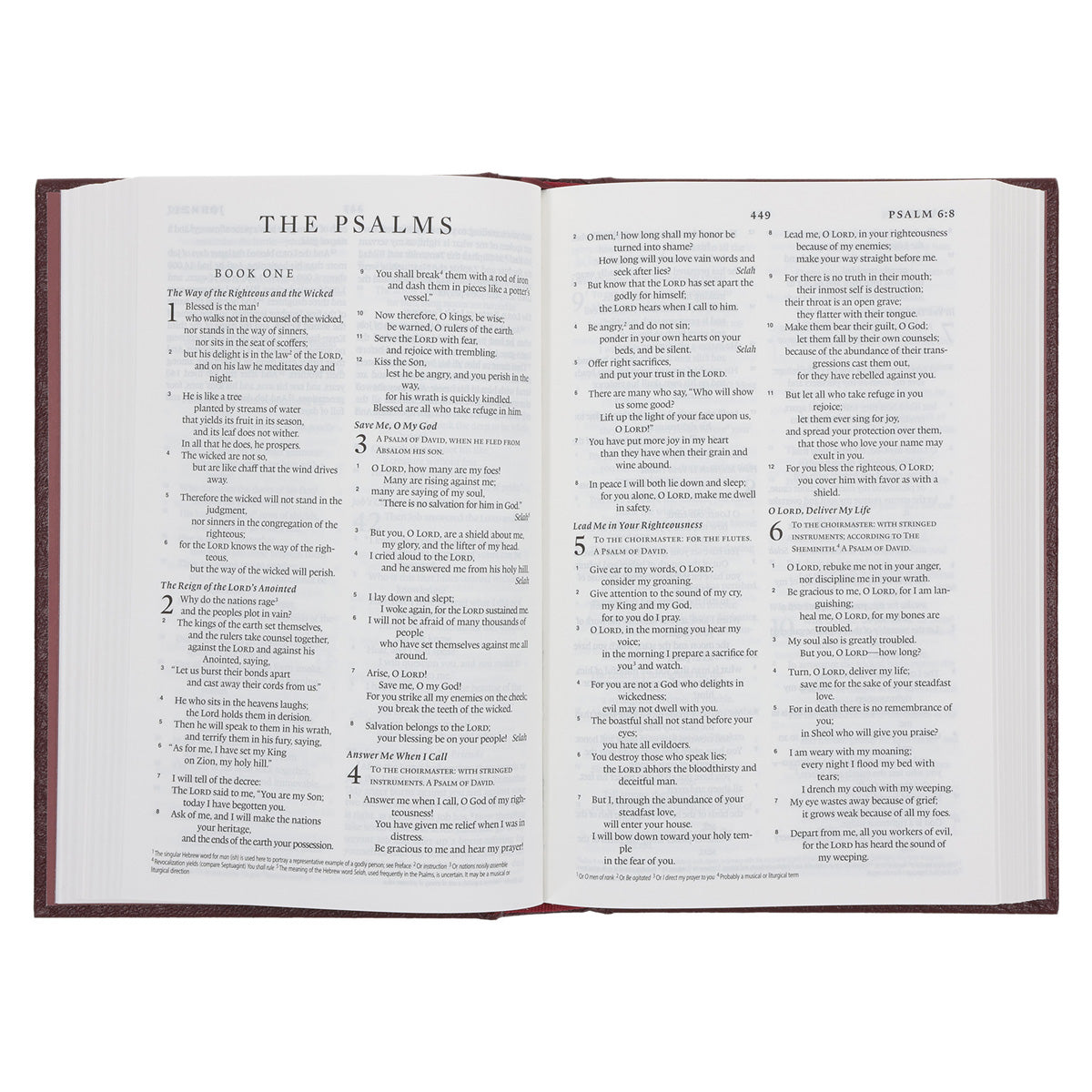 ESV Burgundy Hardcover Standard Bible