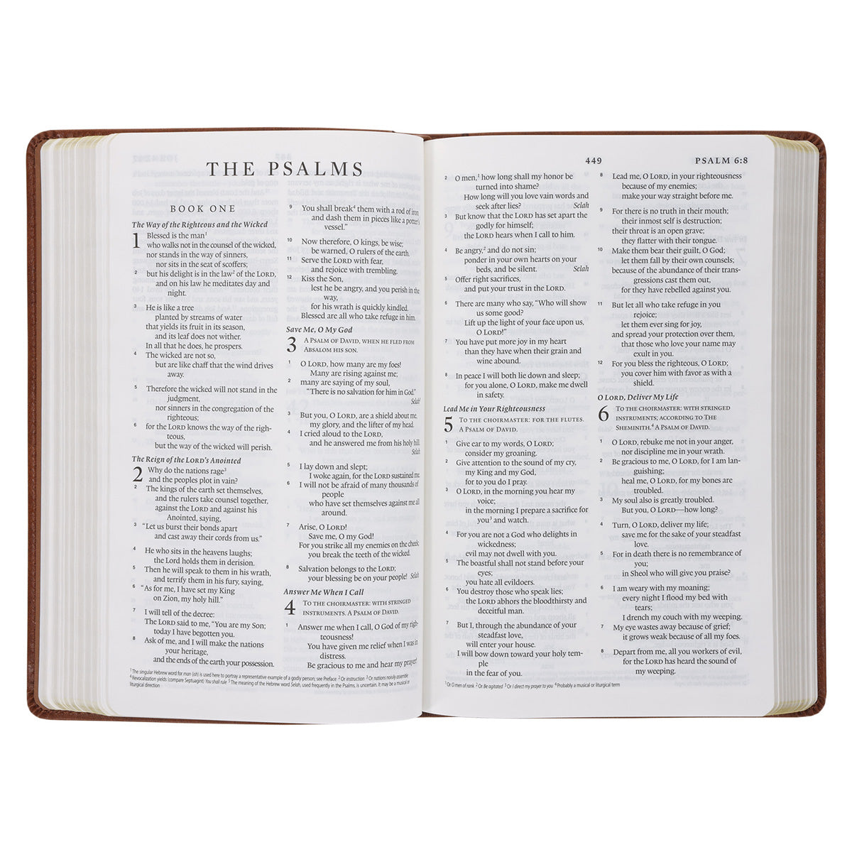 ESV Tan Brown Faux Leather Standard Bible