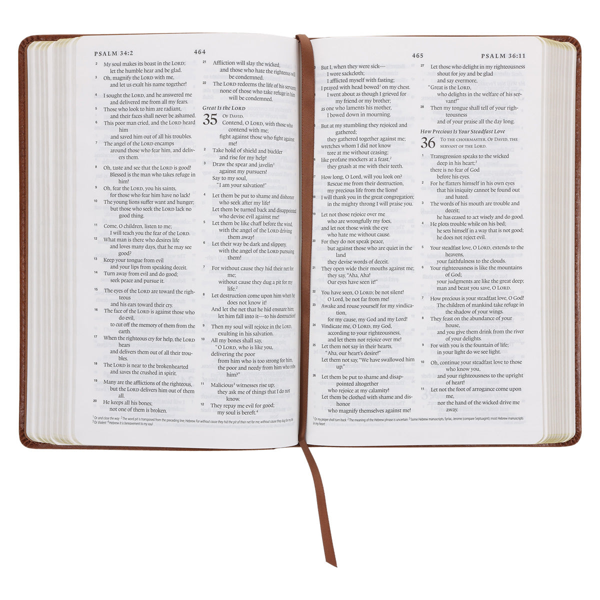 ESV Tan Brown Faux Leather Standard Bible