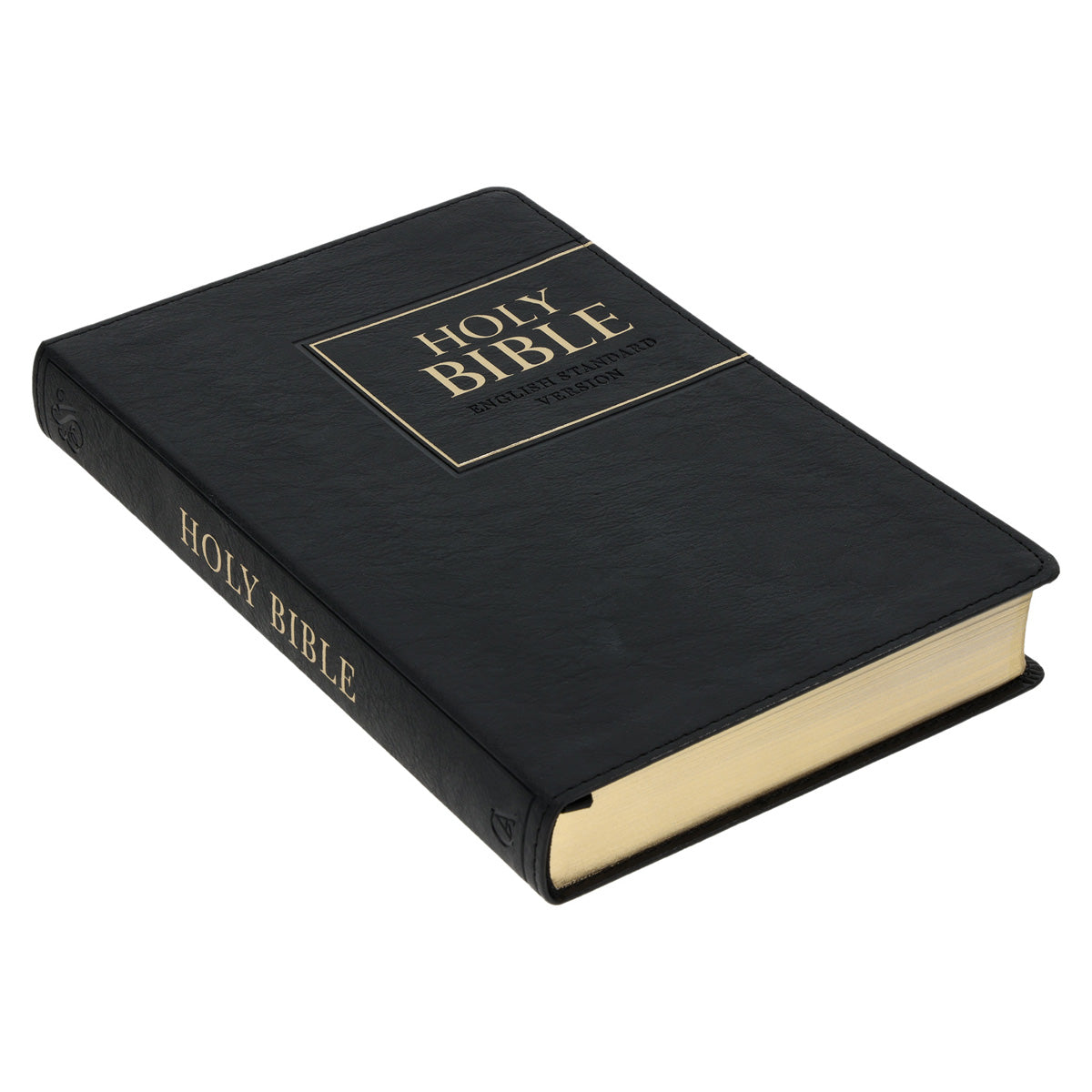 ESV Black Frame Faux Leather Standard Bible