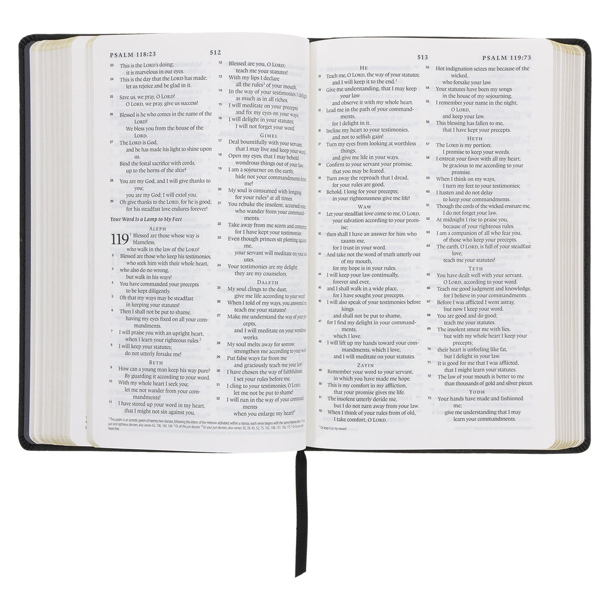 ESV Black Frame Faux Leather Standard Bible