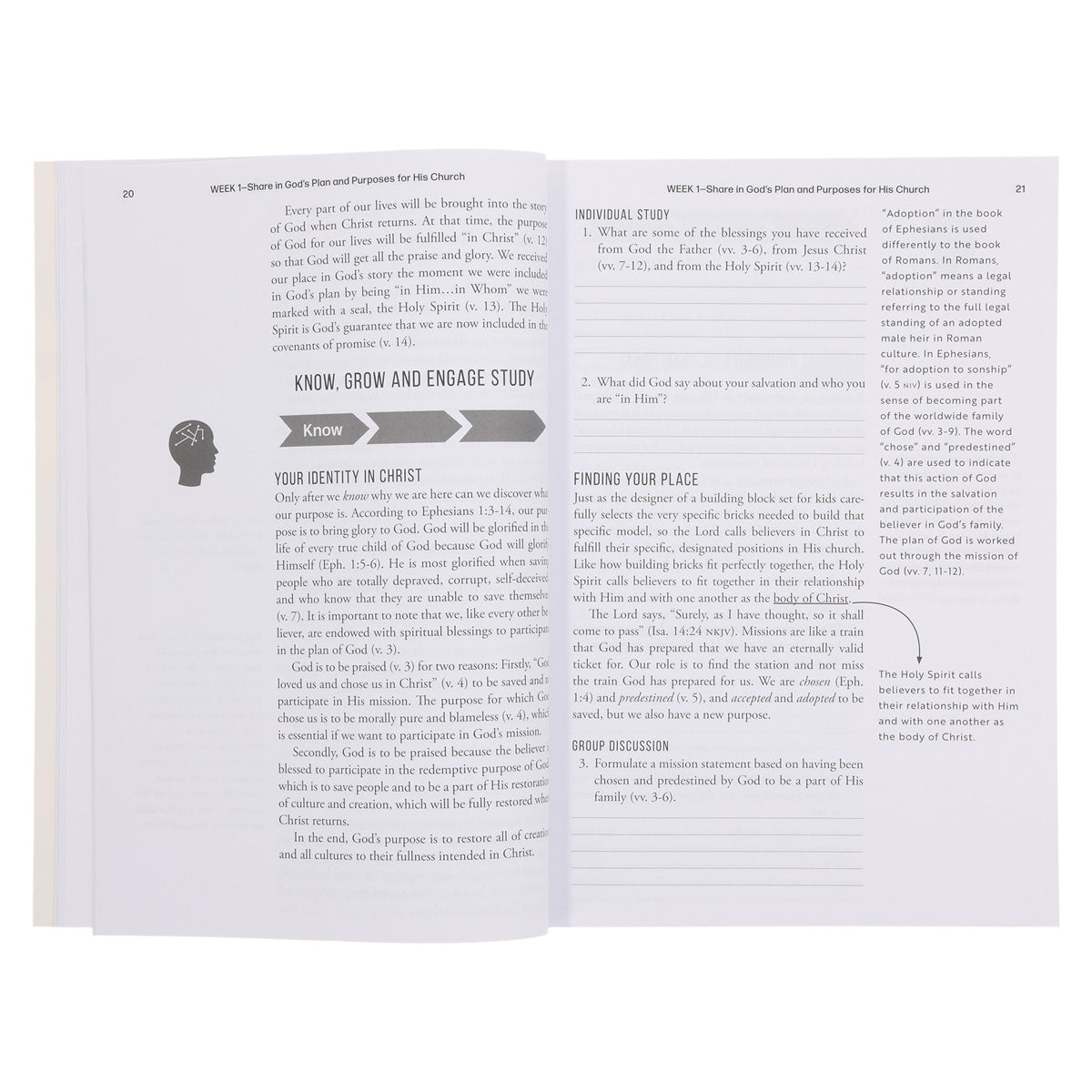 Discovering Your Purpose in God’s Plan Bible Study - 10 Studies from Ephesians PB