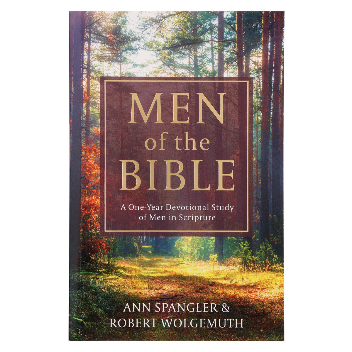 Men of the Bible: A One-Year Devotional Study of Men in Scripture (Paperback)