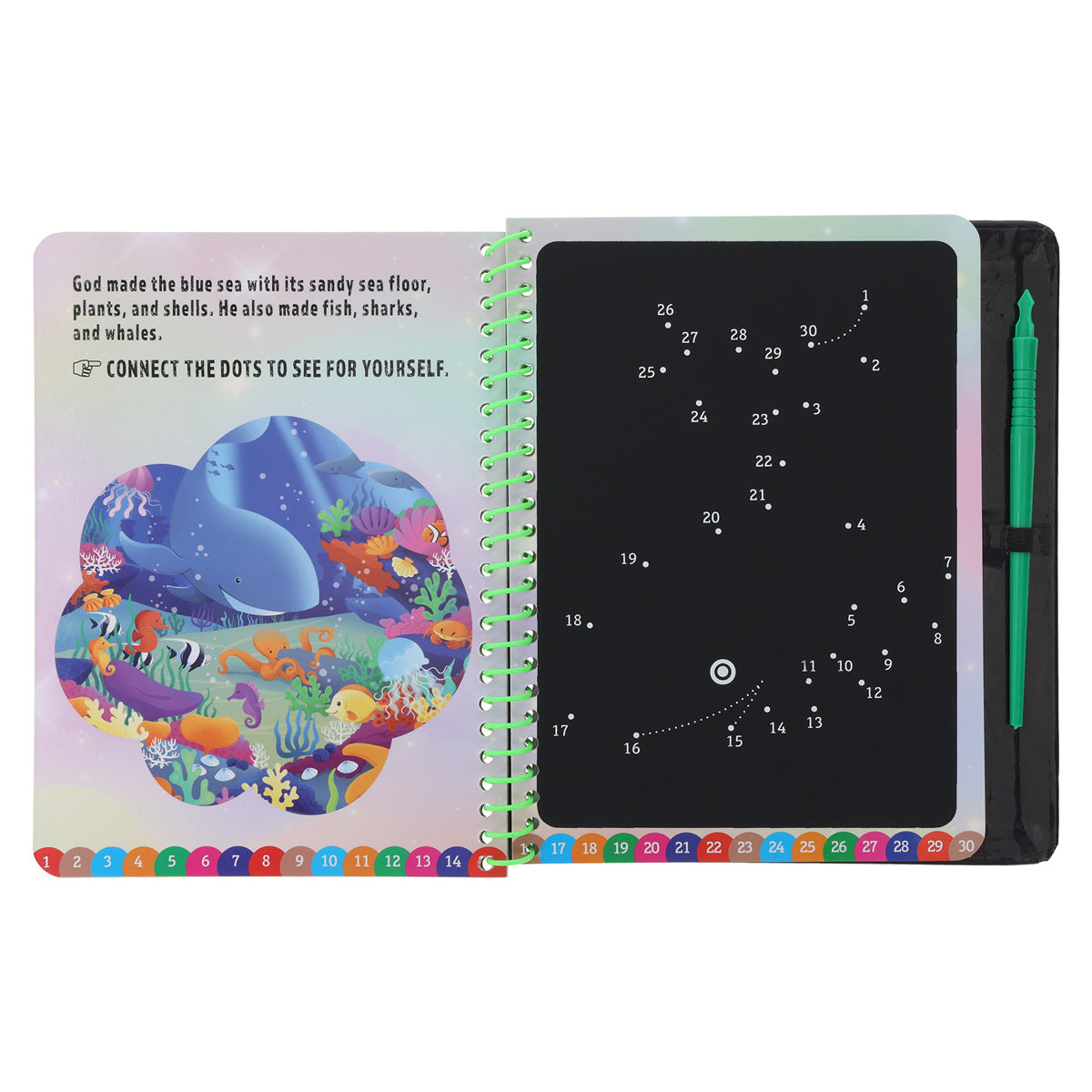 God Creates the World Children's Scratch Bible (Spiral-Bound)
