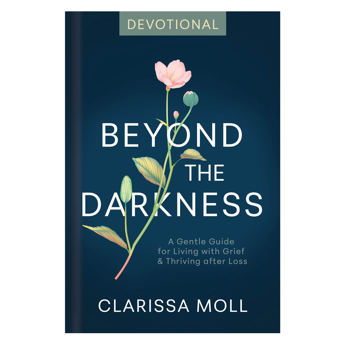 Beyond the Darkness Devotional (Hardcover)