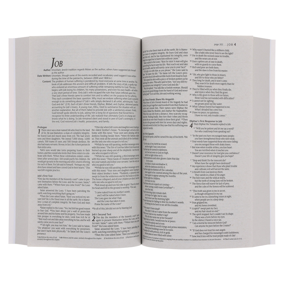 NLT Blue and Orange Watercolor Paperback Outreach Bible