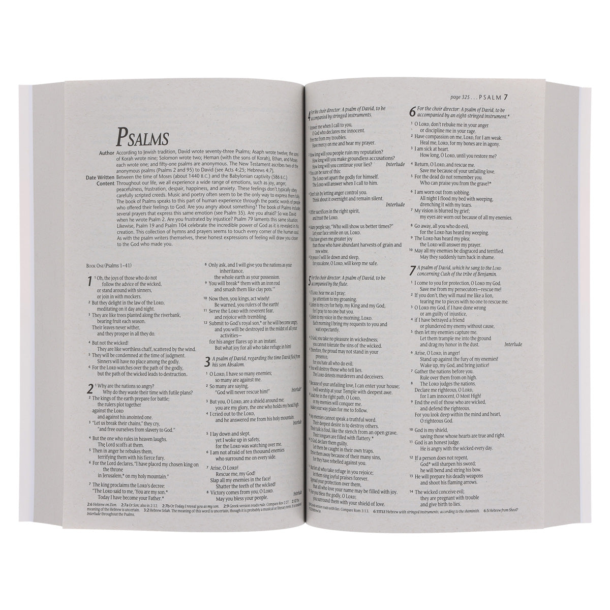 NLT Lion Paperback Outreach Bible