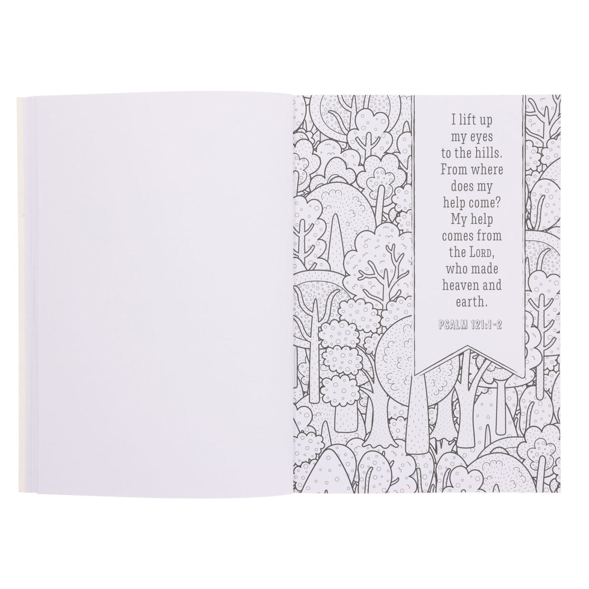 Coloring Through the Psalms Coloring Book (Paperback)