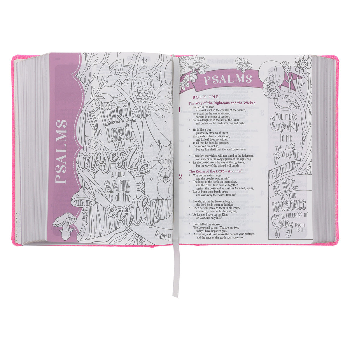 ESV Pink Glitter Hardcover My Creative Bible for Girls