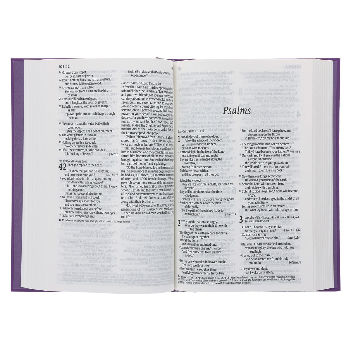 NLT Purple Hardcover Standard Bible
