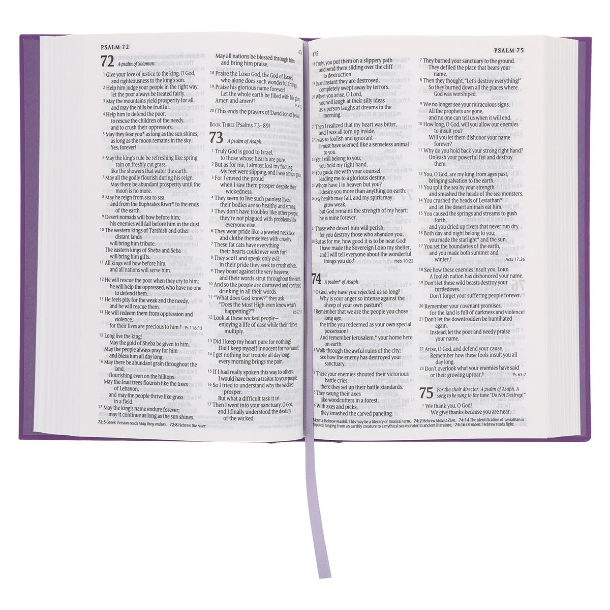 NLT Purple Hardcover Standard Bible