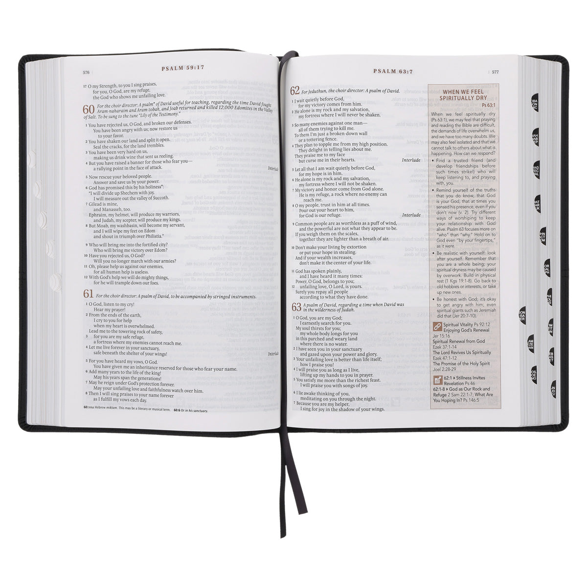 NLT Black Faux Leather Spiritual Growth Bible
