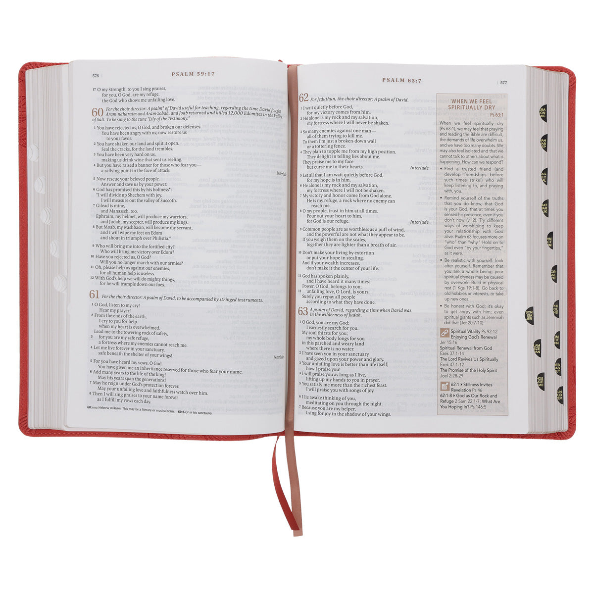 NLT Coral Faux Leather Spiritual Growth Bible