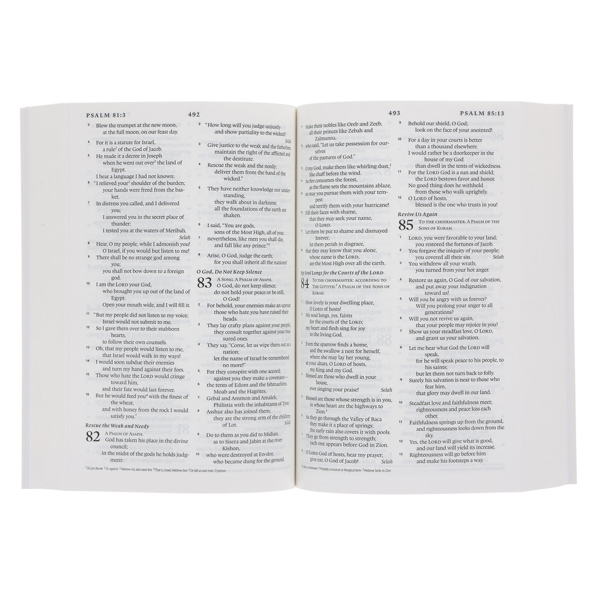 ESV Lion Paperback Compact Bible