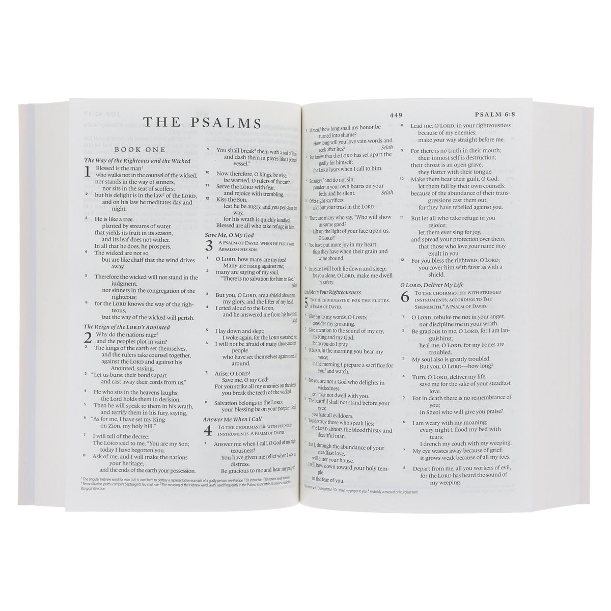 ESV Pink Paperback Compact Bible