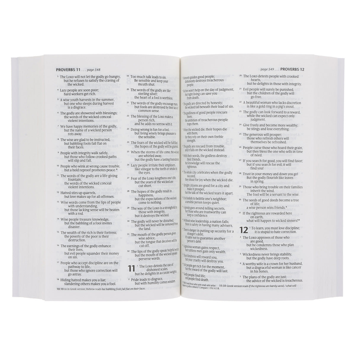 NLT Bird Paperback Compact Bible