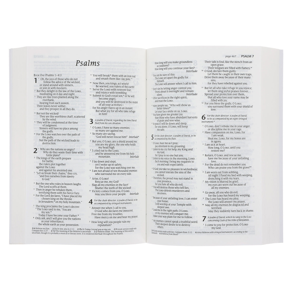 NLT Blue Paperback Compact Bible