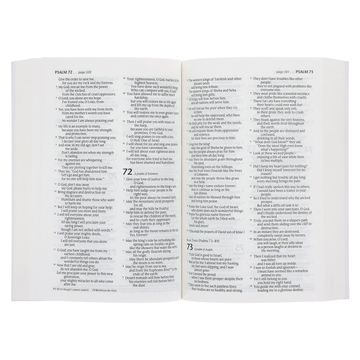 NLT Blue Paperback Compact Bible