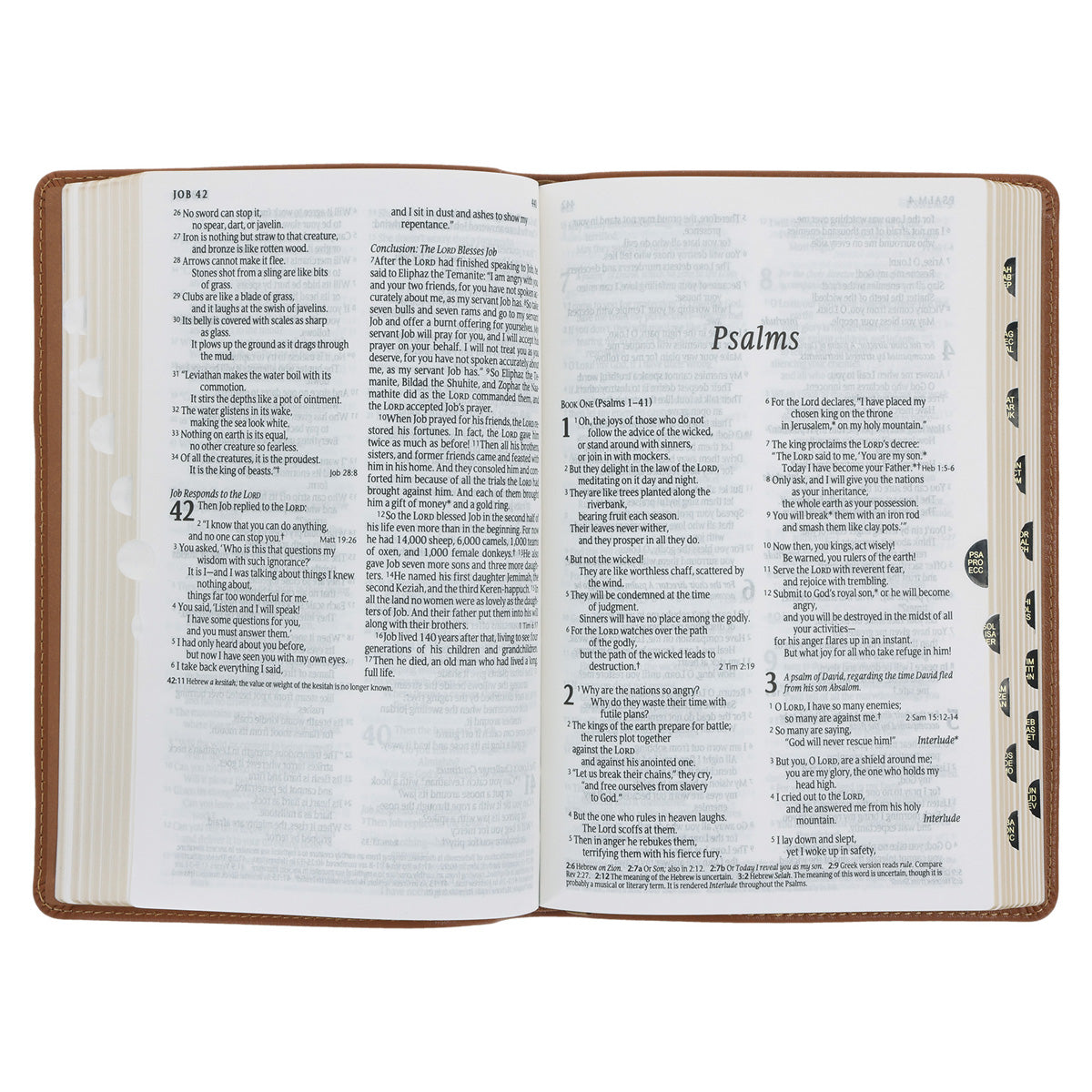 NLT Tan Genuine Leather Flexcover Standard Bible with Indexing Tabs