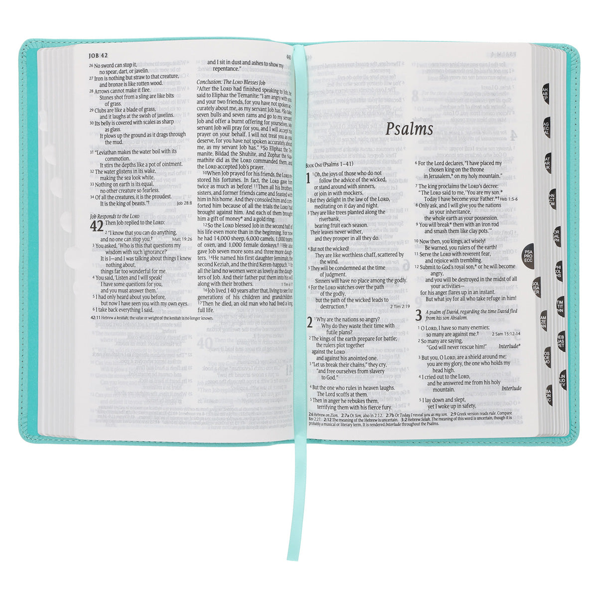 NLT Aquamarine Genuine Leather Flexcover Standard Bible