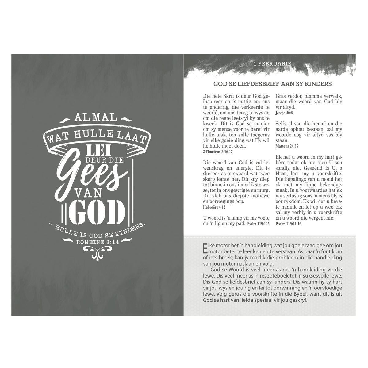 Die Sakpas-Bybel Met Oordenkings Vir Jong Mans (Sagteband)