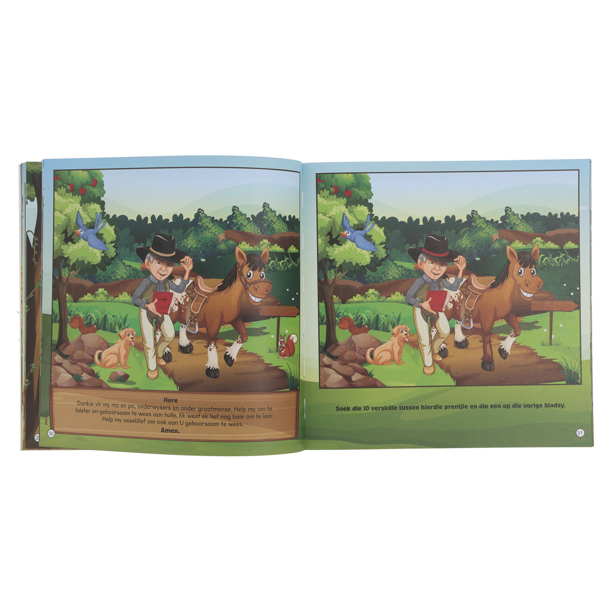 Snowy 2-In-1 Afrikaans (Sagteband)