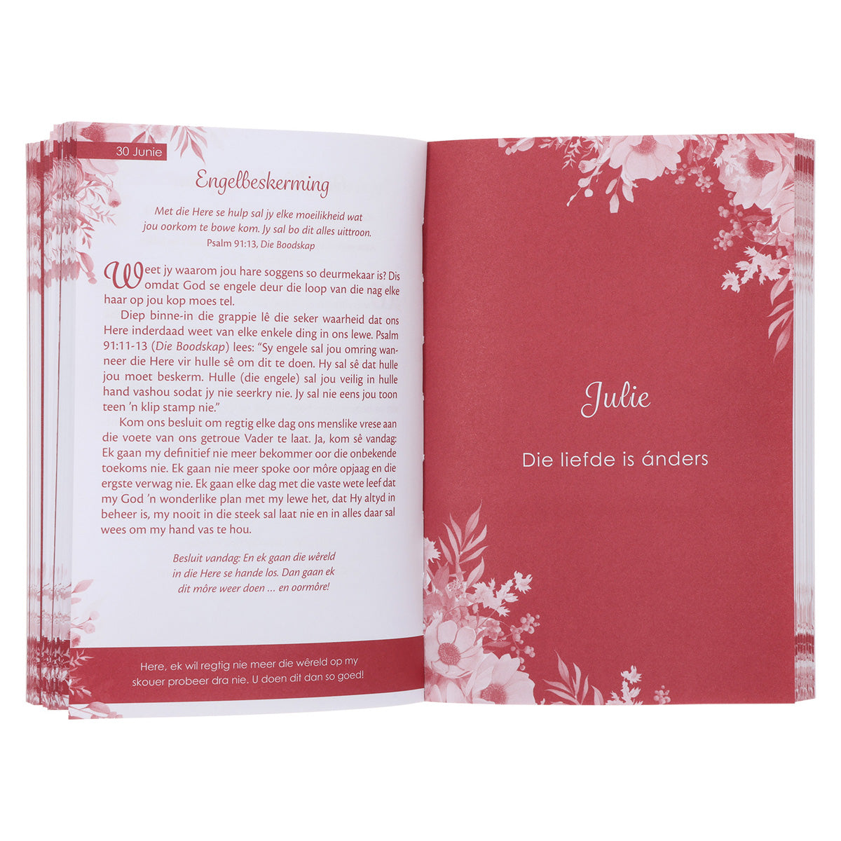 Laat Sy Liefde Jou Lei: 365 Koester-Oordenkings (Sagteband)