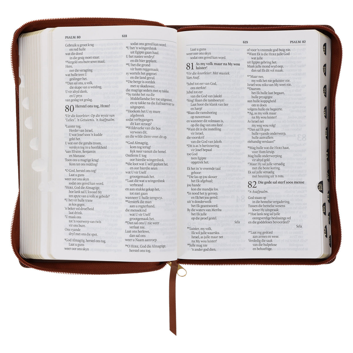 NLV Taan Bruin Kunsleer Standaard Bybel met Ritssluiter en Duimgrepe