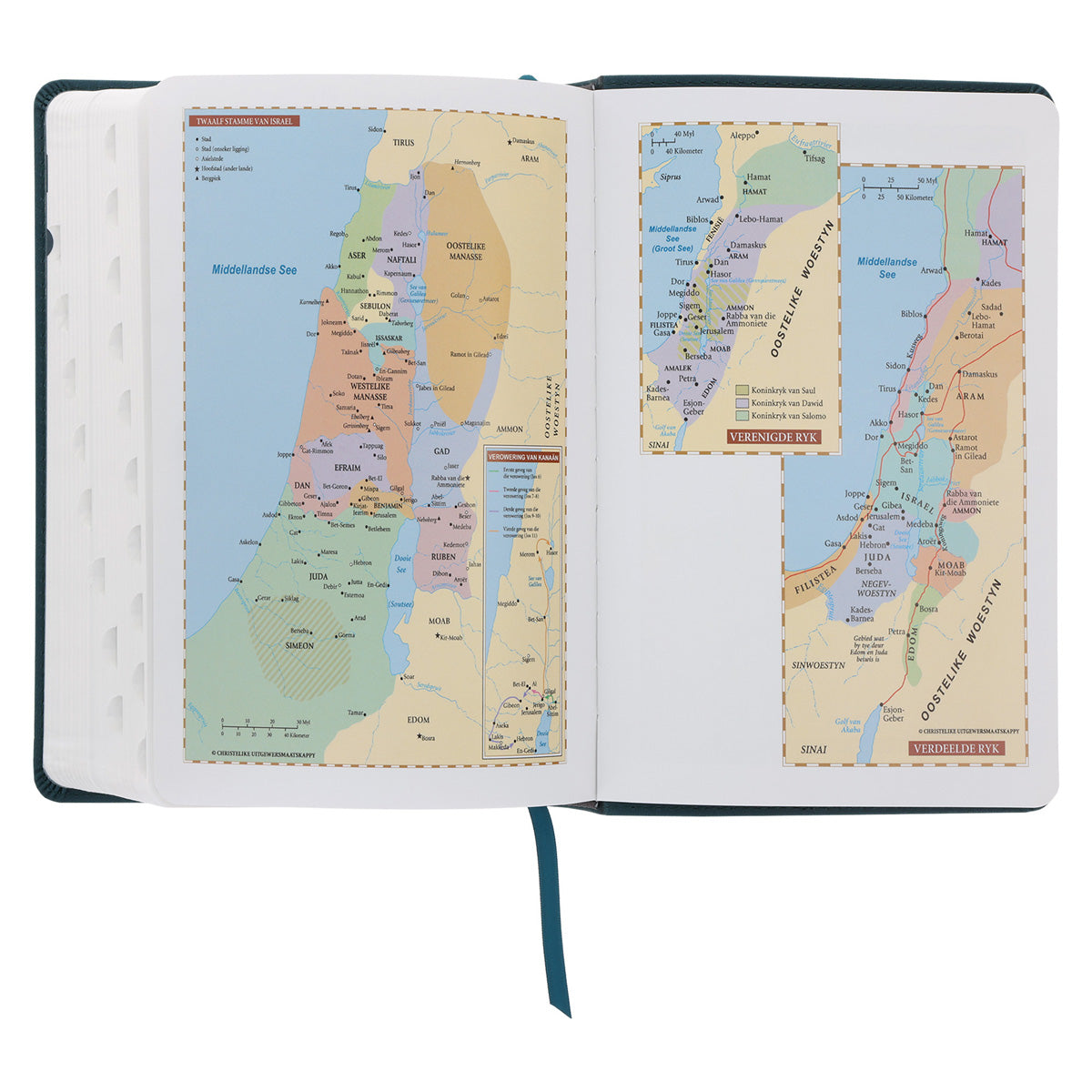 NLV Olyfgroen Met Goue Blomme Kunsleer Standaard Bybel Met Duimgrepe